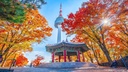 Korea eSIM for Tourist